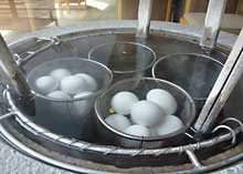 卵作り